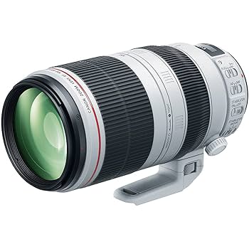 Canon - ［値下げ中］Canon EF100-400mm F4.5-5.6L IS USM Amazon.com : Canon EF 100-400mm f/4.5-5.6L is II USM Lens